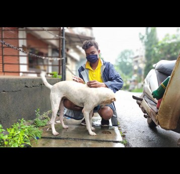 India's population of "strays" - and Mission Rabies's target population - includes well-loved community dogs, not quite pets, but more half-owned than un-owned. Credit: Mission Rabies