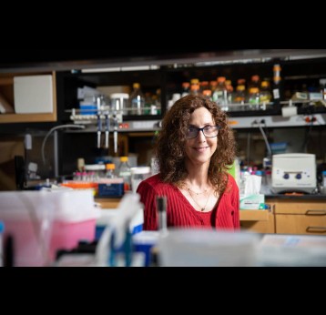 Pamela Bjorkman’s lab focuses on structrual biology. Bjorkman Pamela Faculty