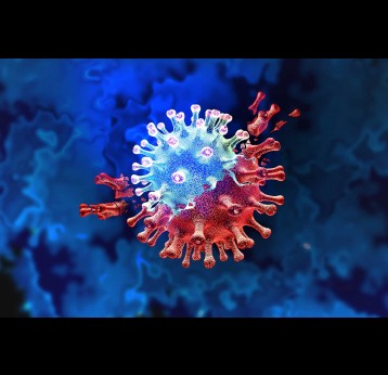 New coronavirus variant