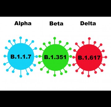 Alpha, Beta, Delta covid variants
