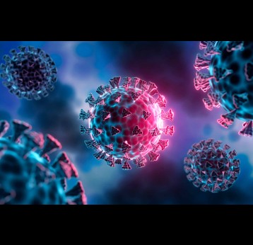 Corona Virus Mutation - medical 3D illustration. Credit: peterschreiber.media/Shutterstock