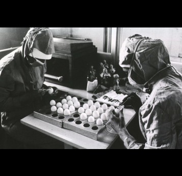 The preparation of measles vaccine using chicken eggs. WHO via Images from the History of Medicine (NLM)
