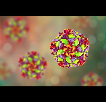 Crédit photo : Poliovirus, illustration en 3D