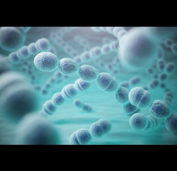Streptococcus pneumoniae, 3D illustration