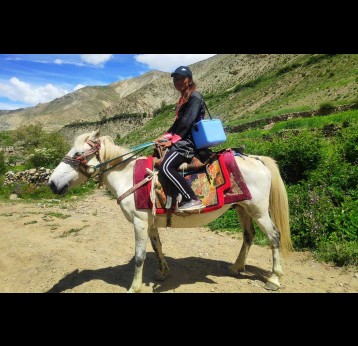 Nurse Pemba Gurung travelling in horse to deliver vaccines to different villages of dolpa.