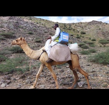 Vaccines reach a remote community located in a mountainous part of Aqiq, in Red Sea State, 2024. Credit: Asrar Fadulelsied