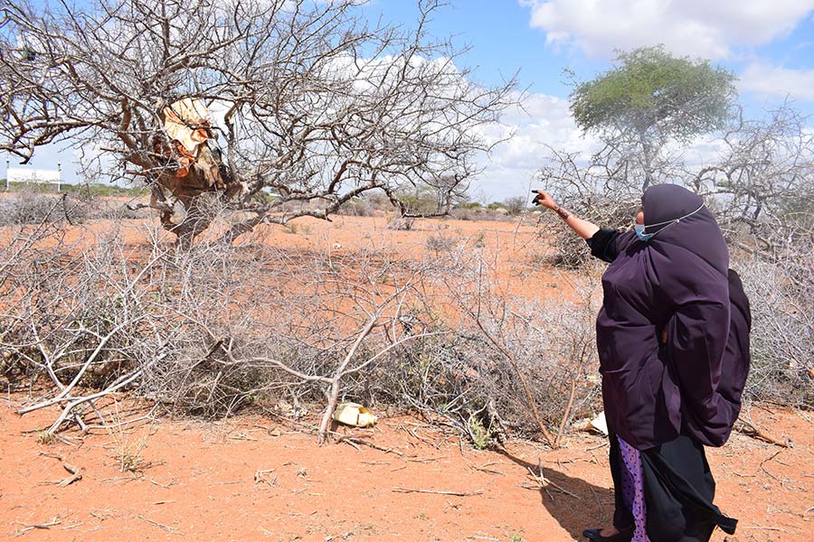 Khadija Maalim points at a tree believed by many locals to cure COVID-19. She educates her Somali followers that the best solution to COVID-19 is to take the COVID-19 jab.