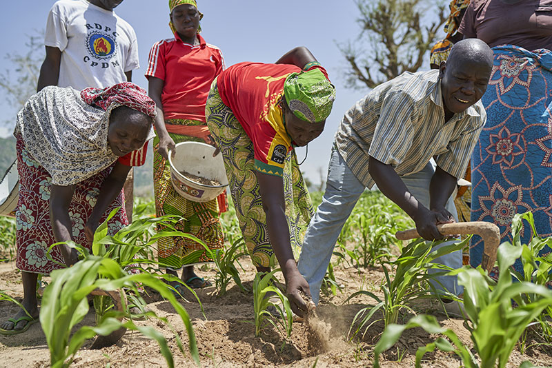People in the Marua region planting crops – Photographer credit: Gavi/2020/Christophe Da Silva