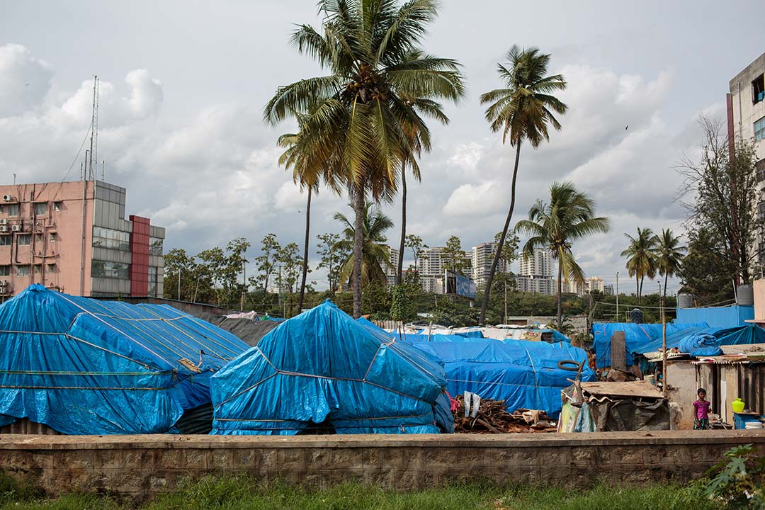 Blue-tent settlement at Hebbal, Bengaluru – Credit: Vivek Muthuramalingam
