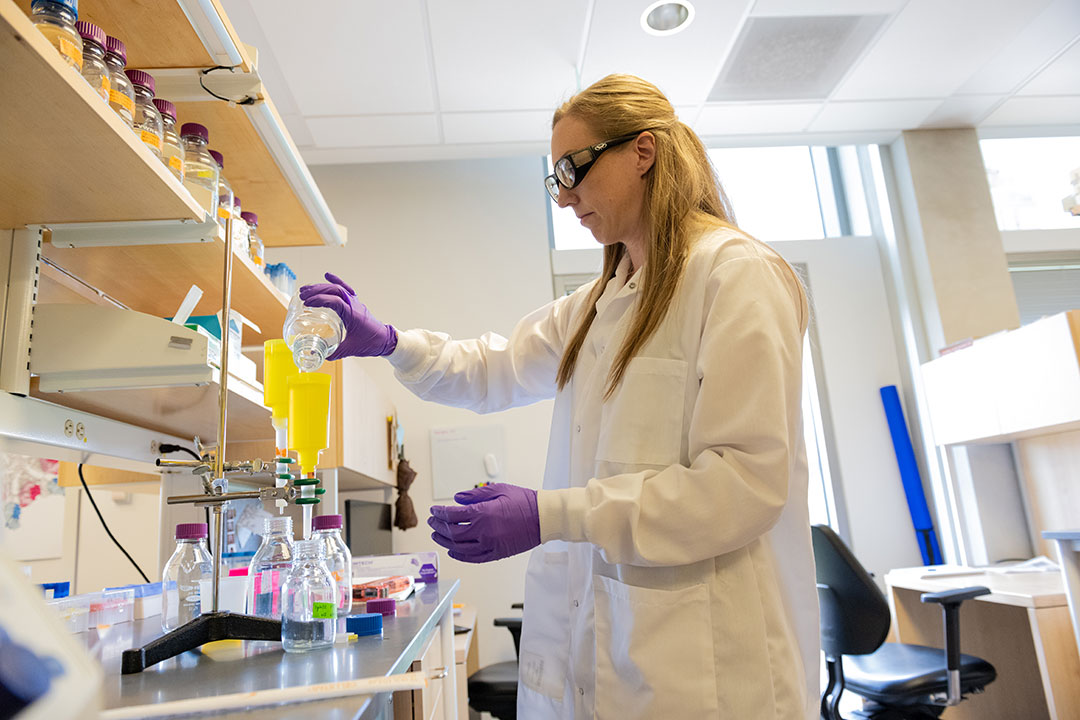 Nicole John, a member of the McLellan lab, conducts research. Credit: Vivian Abagiu