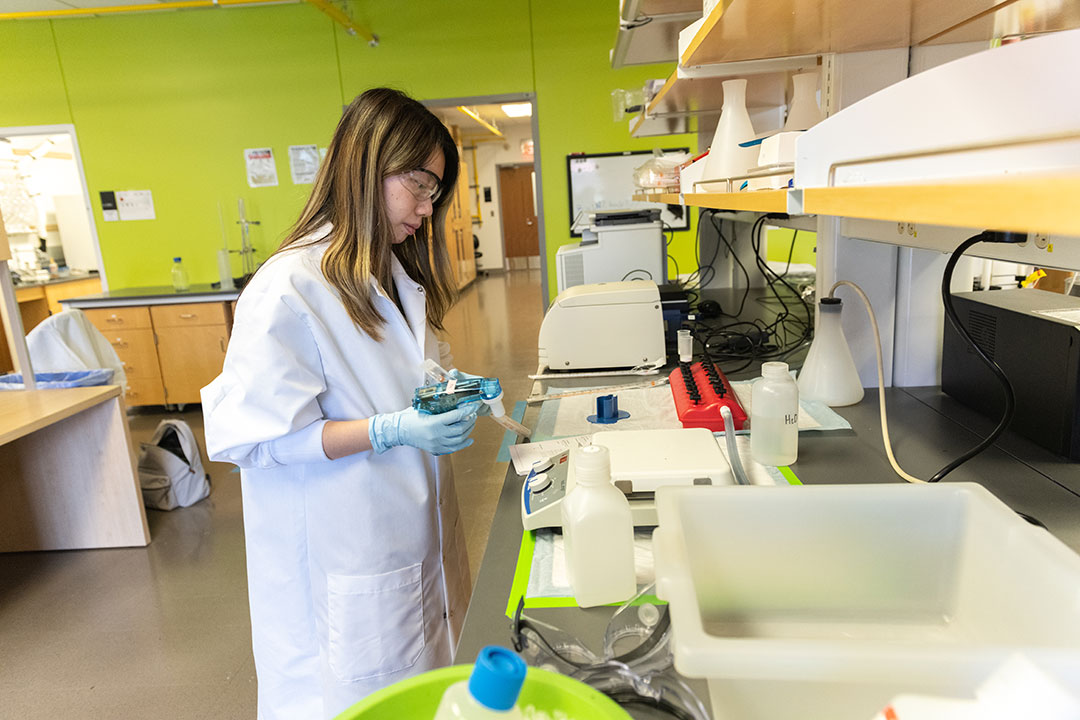 Ling Zhou, a member of the McLellan lab, conducts research. Credit: Vivian Abagiu