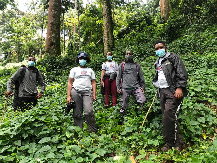 CTPH team monitoring Mubare Gorilla Group in September 2020. Photo by CTPH