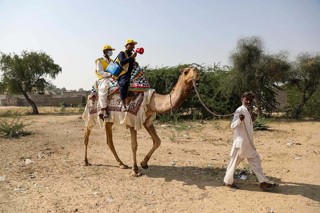 Polio vaccinators travel on camel during the November 2021 integrated measles-rubella and polio campaign in Pakistan. Close collaboration between the polio and immunization programmes helped to reach over 90 million children. © Gavi/Asad Zaidi