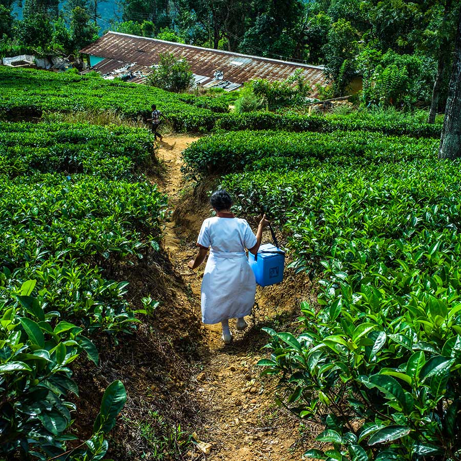 Un agent de santé rendant visite aux travailleurs des plantations de thé du centre du Sri Lanka. Photo : Gavi / 2013 / Sanjit Das