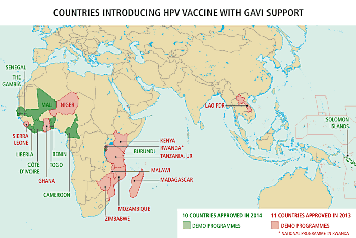 206,000 more girls to benefit from HPV vaccine with GAVI Alliance support