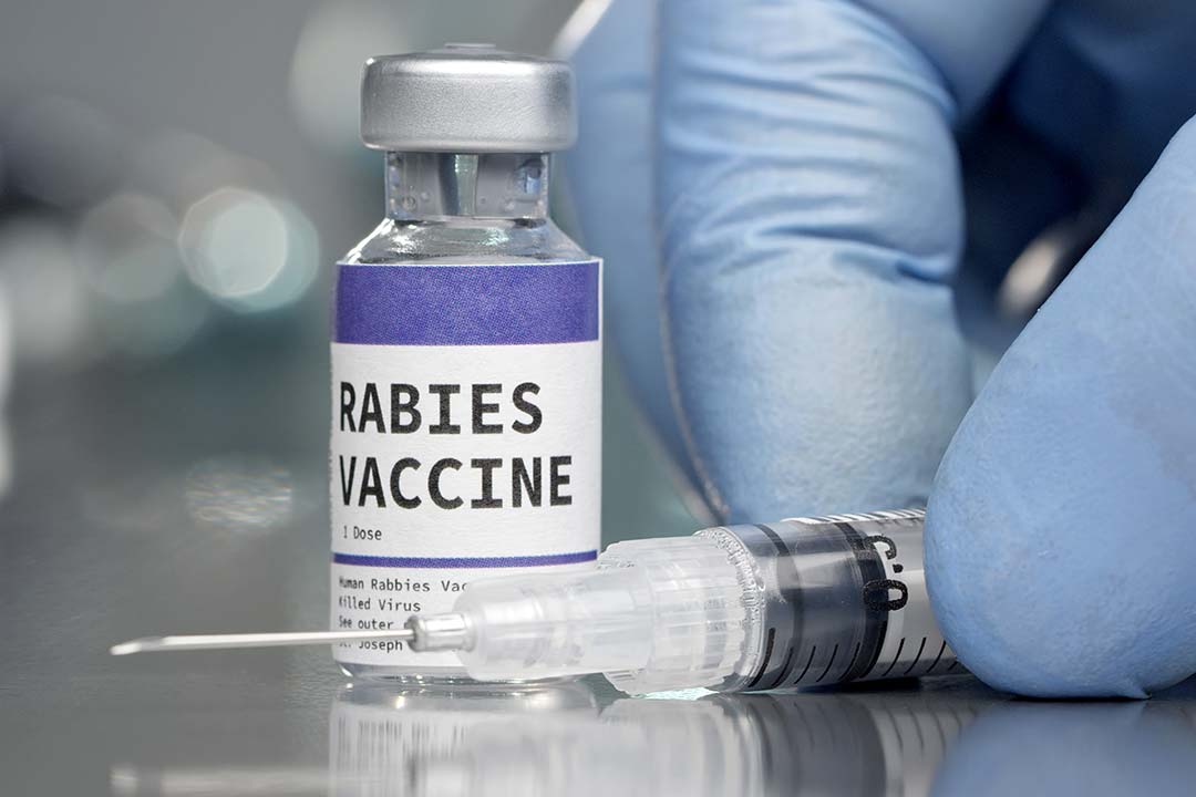 Rabies vaccine vial in a medical lab with a syringe