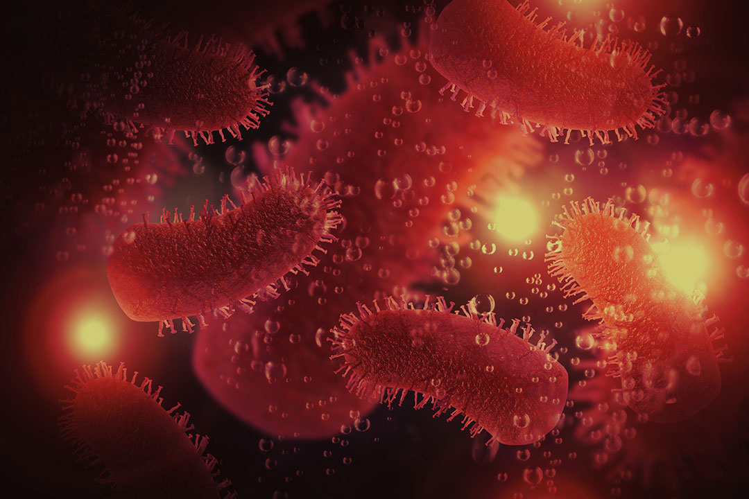 Rabies under the microscope