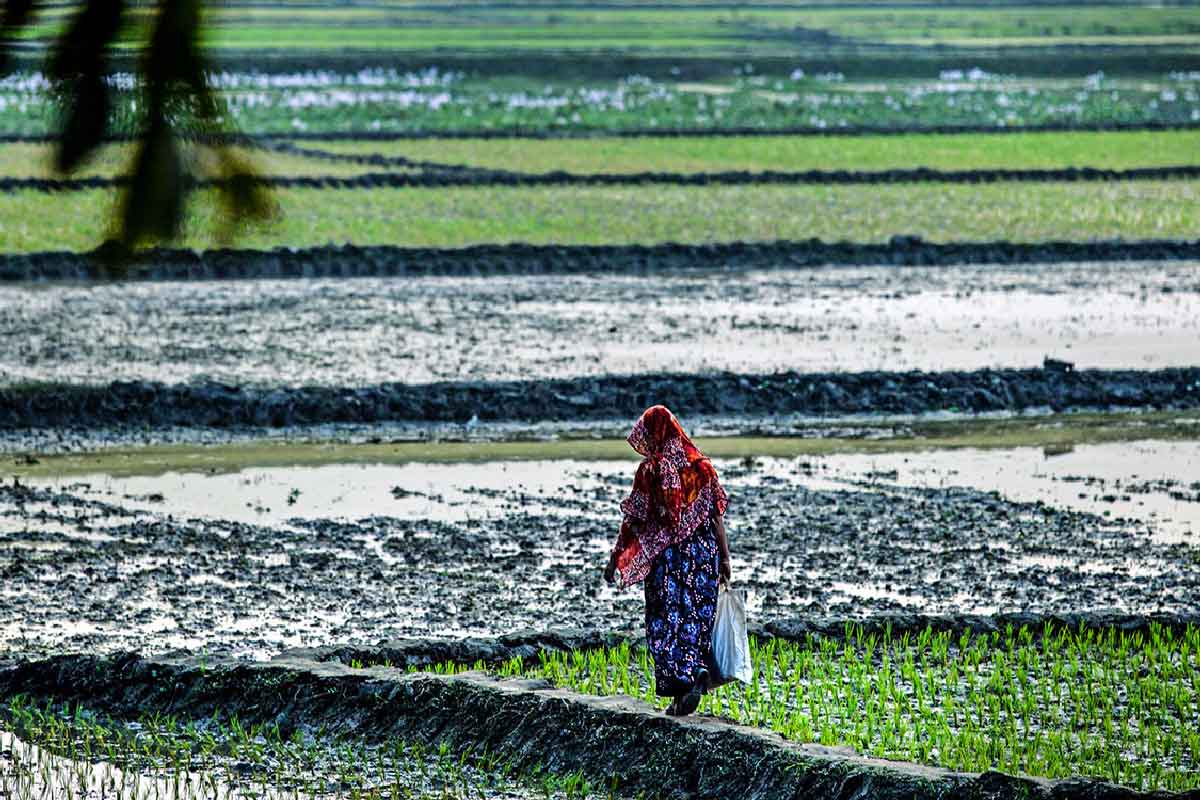A woman walking across fields
