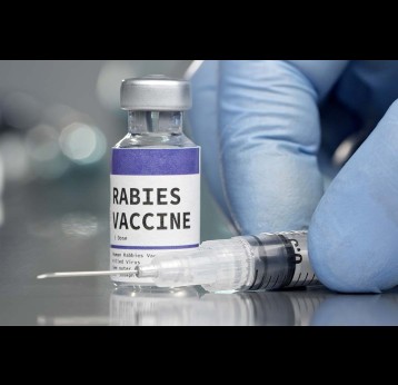 Flacon de vaccin contre la rage dans un laboratoire médical avec une seringue