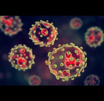 Lassa fever viruses, 3D illustration.