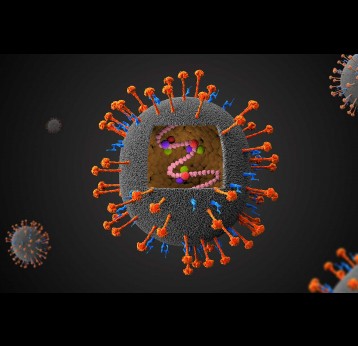 Virus Nipah - illustration 3D