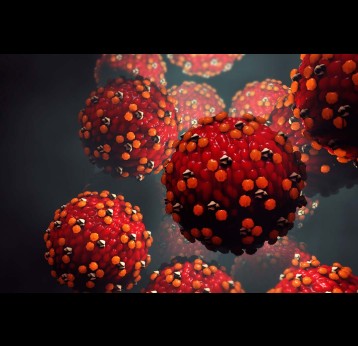 3D illustration Measles virus