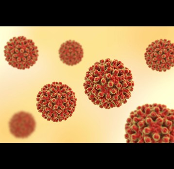 Illustration en 3D de virus de l’hépatite B