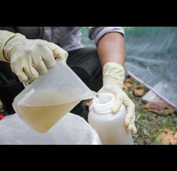 Wastewater sampling by Method Composite sampling. ( Pouring water put bottles )