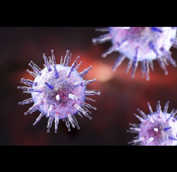 Epstein-Barr virus EBV cells