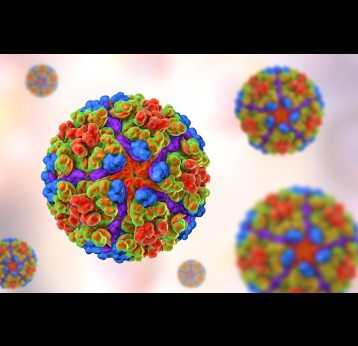 3D rendered image of chikungunya virus.