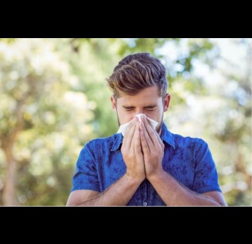 Many people suffer with hay fever. Credit: wavebreakmedia/Shutterstock