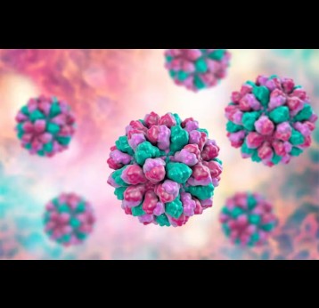 Norovirus causes symptoms such as vomiting, diarrhoea and persistent nausea. Kateryna Kon/ Shutterstock