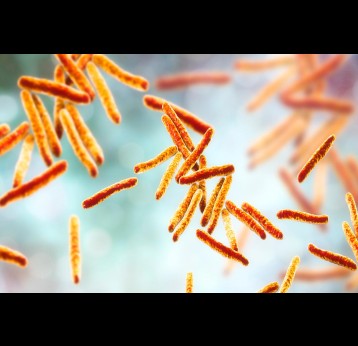 Illustration 3D de la bactérie Mycobacterium tuberculosis, agent causal de la tuberculose. 