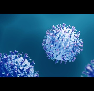 3d illustration of respiratory syncytial viruses (RSV)