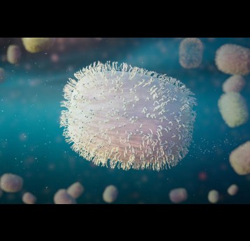 Monkeypox virus, one of the human orthopoxviruses, pathogen closeup, microbiology background (3d rendering)