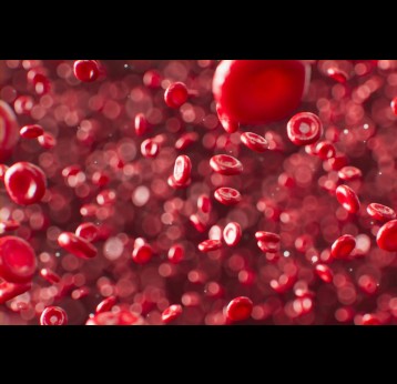 Rendered image of blood cells. Credit: ANIRUDH on Unsplash