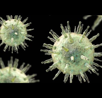 By adulthood around 95% of people are infected with Epstein-Barr virus. Kateryna Kon/Shutterstock
