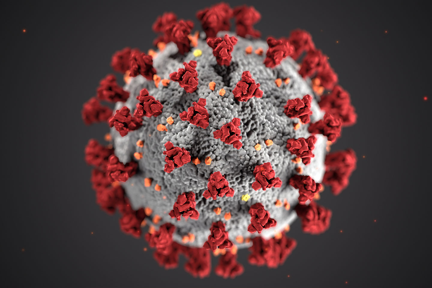 Coronavirus Disease Covid 19 Pandemic Undp