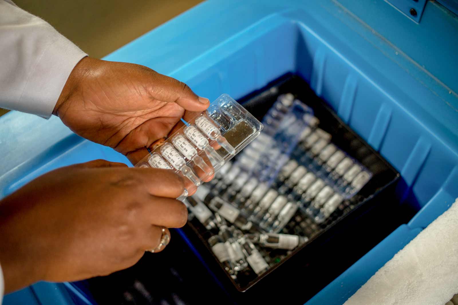 Vaccine vials being put in fridge