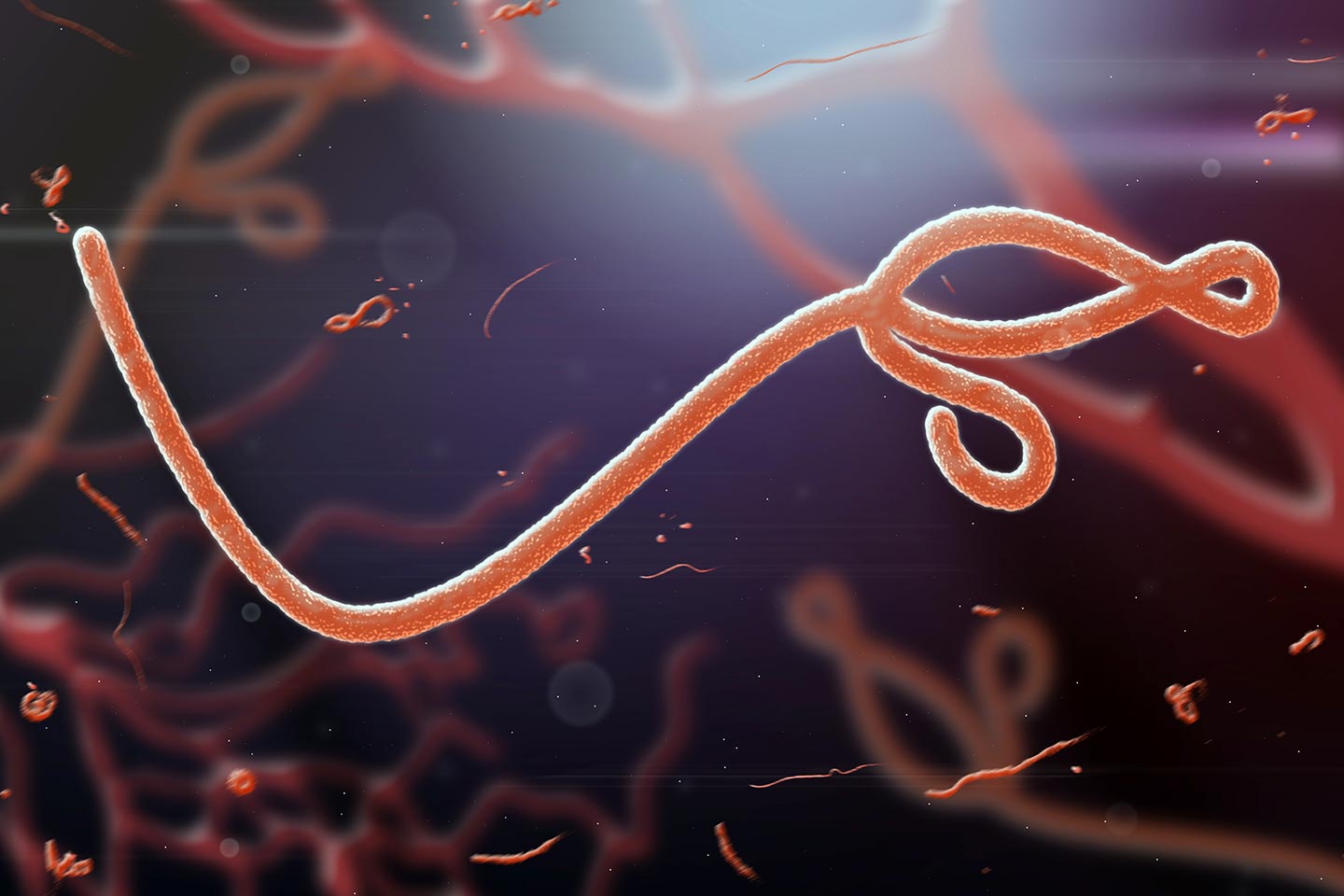 The next pandemic: Ebola? | Gavi, the Vaccine Alliance