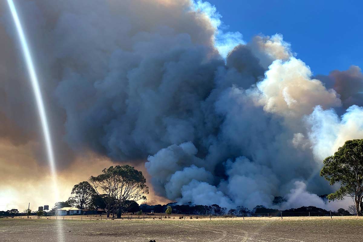 A wildfire on Kangaroo Island, South Australia, Jan. 2020. Australia’s infamous ‘Black Summer’ in 2019-20 was the worst fire season in Australia’s history, with over 24 million hectares (60 million acres) burned. Smoke from the fires was associated with 429 premature deaths, according to a 2021 Nature Sustainability study. Image by New Matilda from Brisbane Australia via Wikimedia Commons (CC BY 2.0).