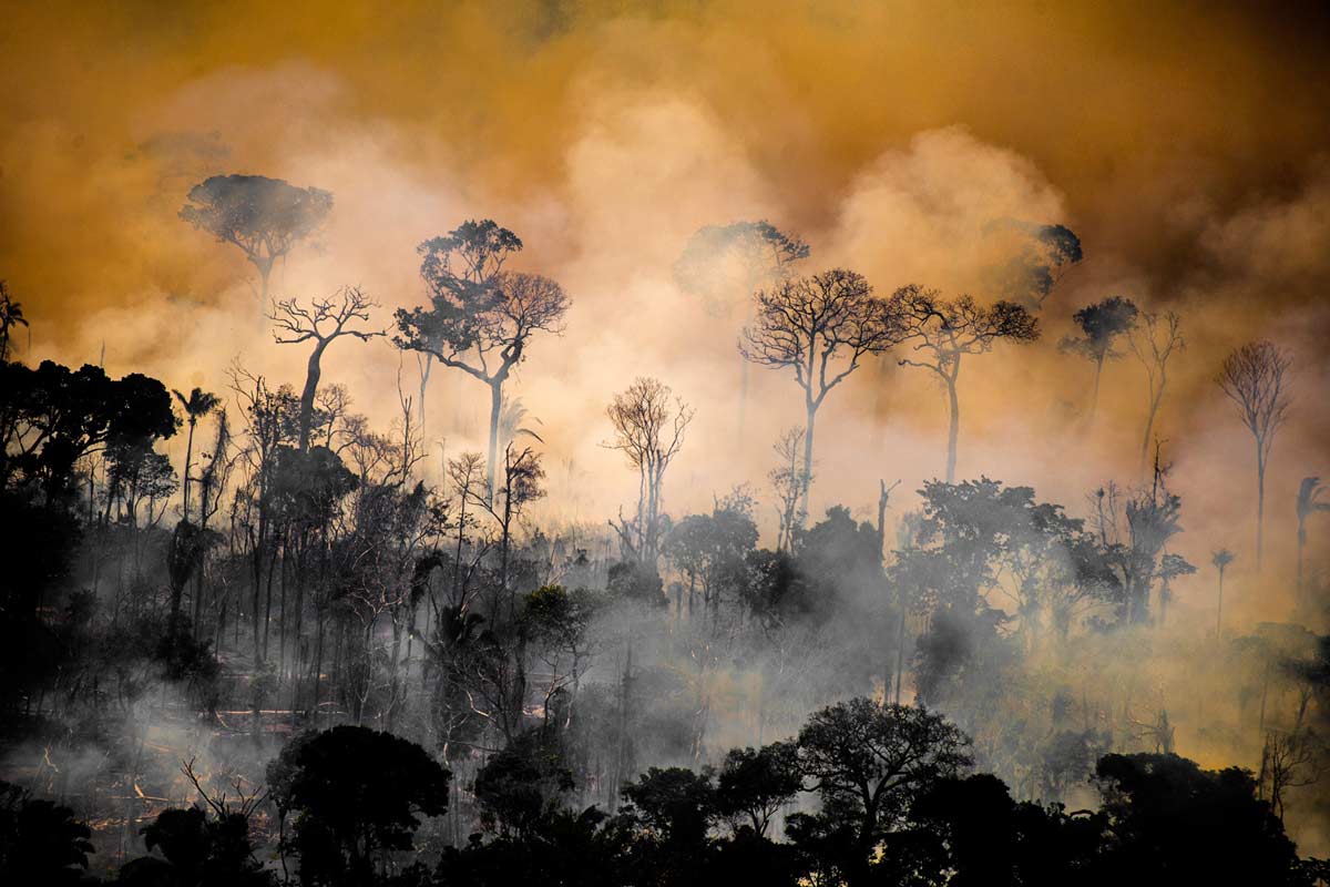 Tropical rainforests are not adapted to fire, and have no natural fire regime. Often, though, fires are set intentionally by landowners wanting to expand their fields, or by landgrabbers who burn the standing trees. Deforestation and degradation also makes rainforests more vulnerable, and means fire is more likely to spread. Image © Christian Braga / Greenpeace.