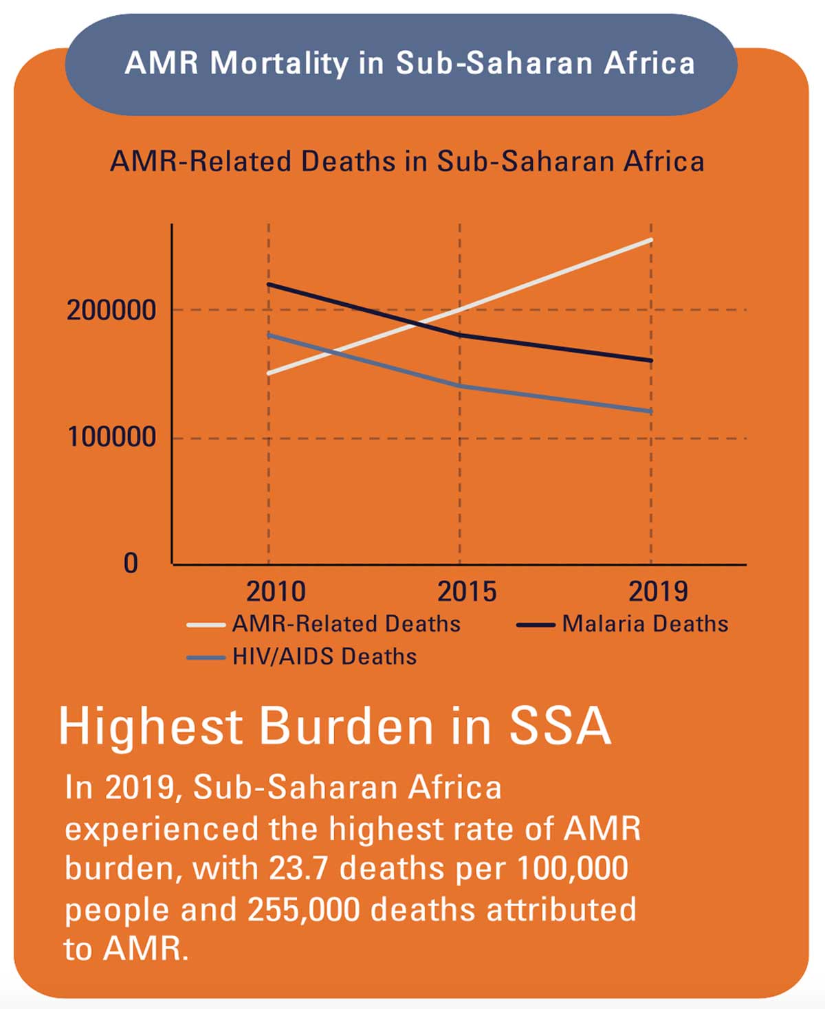 Table: AMR mortality in sub-Saharan Africa