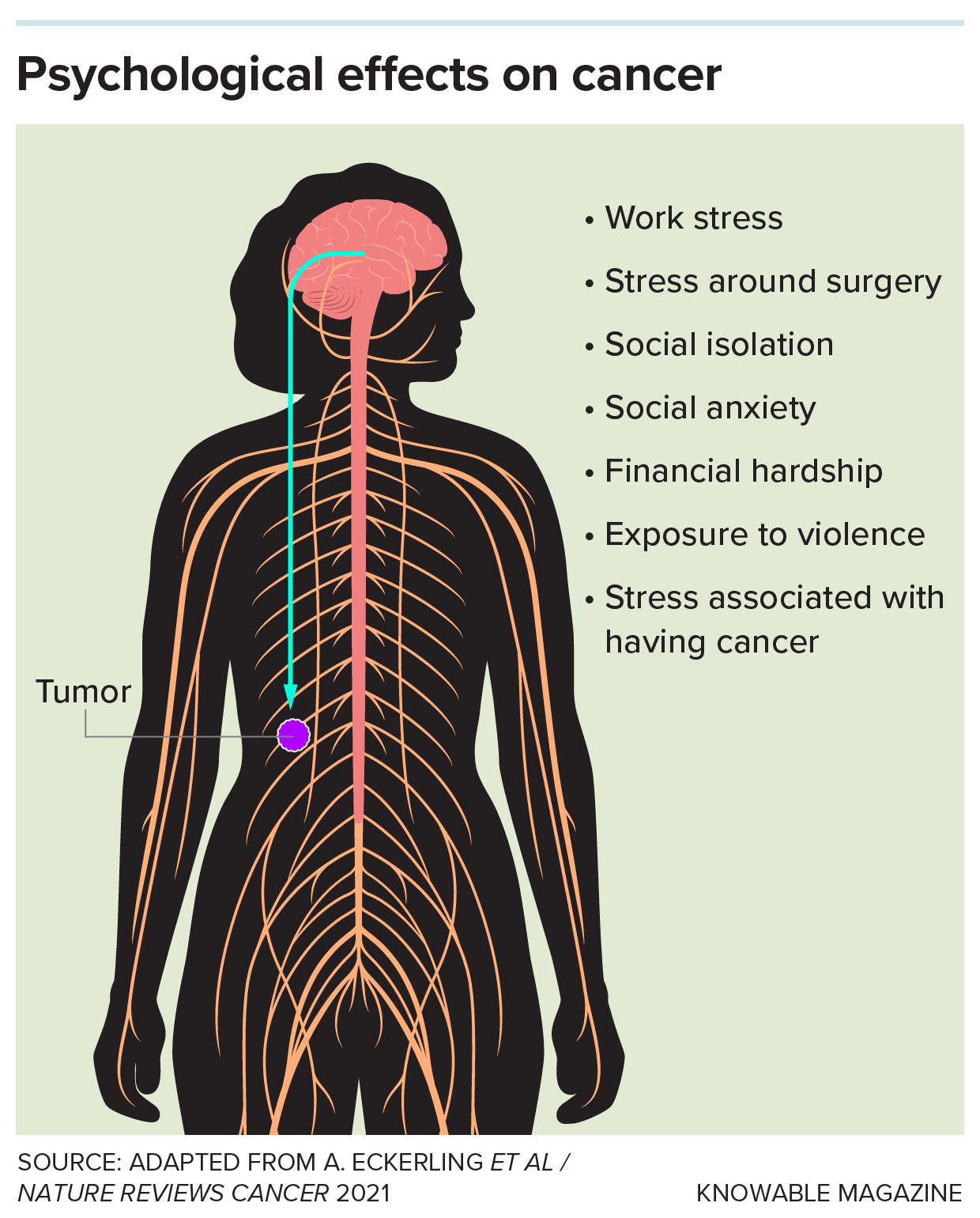 People with cancer may experience a wide range of stressors, both related and unrelated to the disease. A growing body of evidence suggests that these may influence how a tumor grows and spreads.