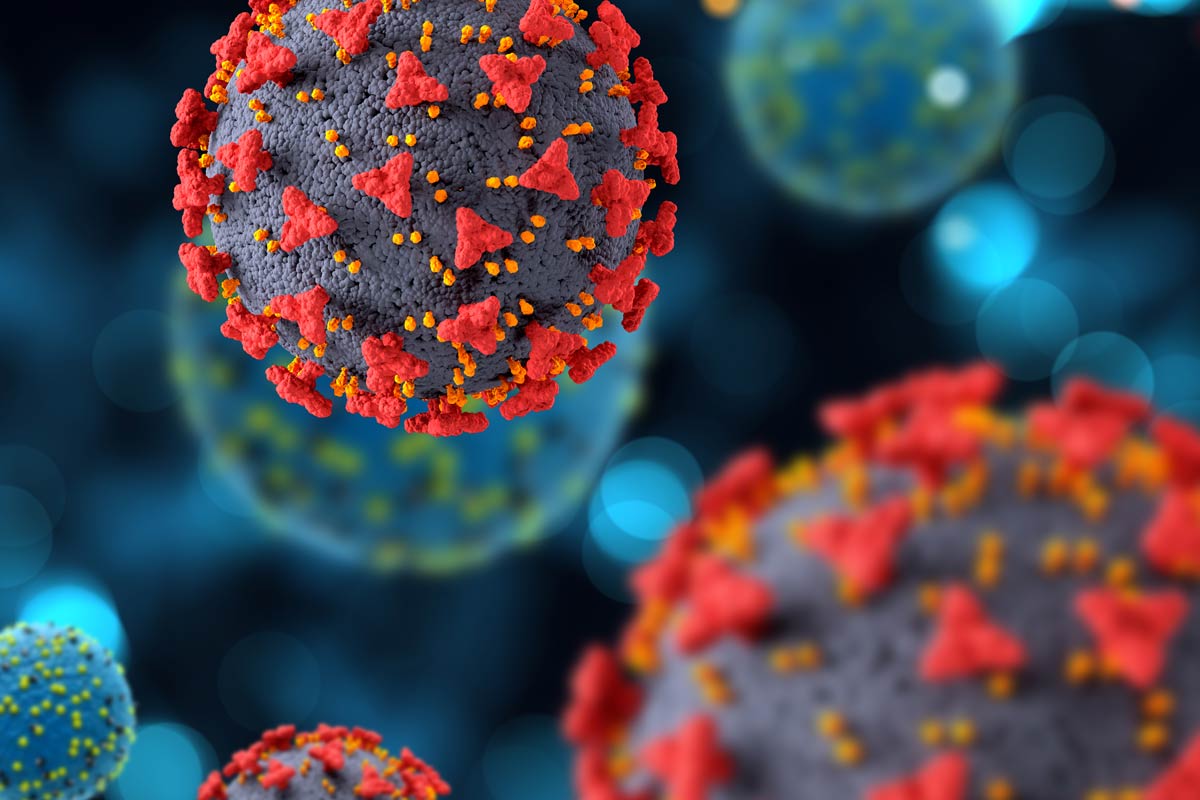 3D medical background with COVID19 virus cells. Credit: KJPargeter/Freepix